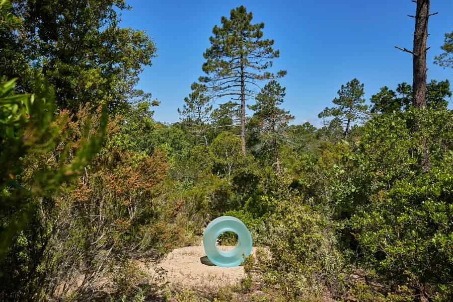 Featured Image (Installation View) of exhibtion: Esther Schipper x Domaine Du Muy
