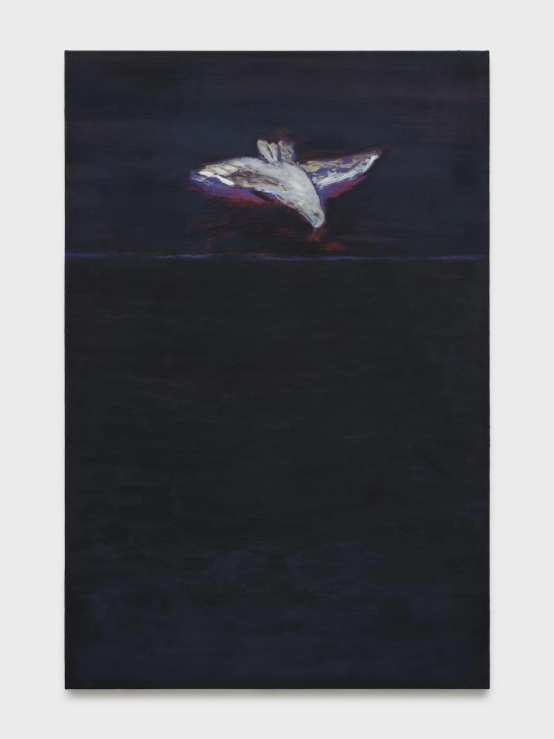 Installation view of displayed artwork titled Colombe