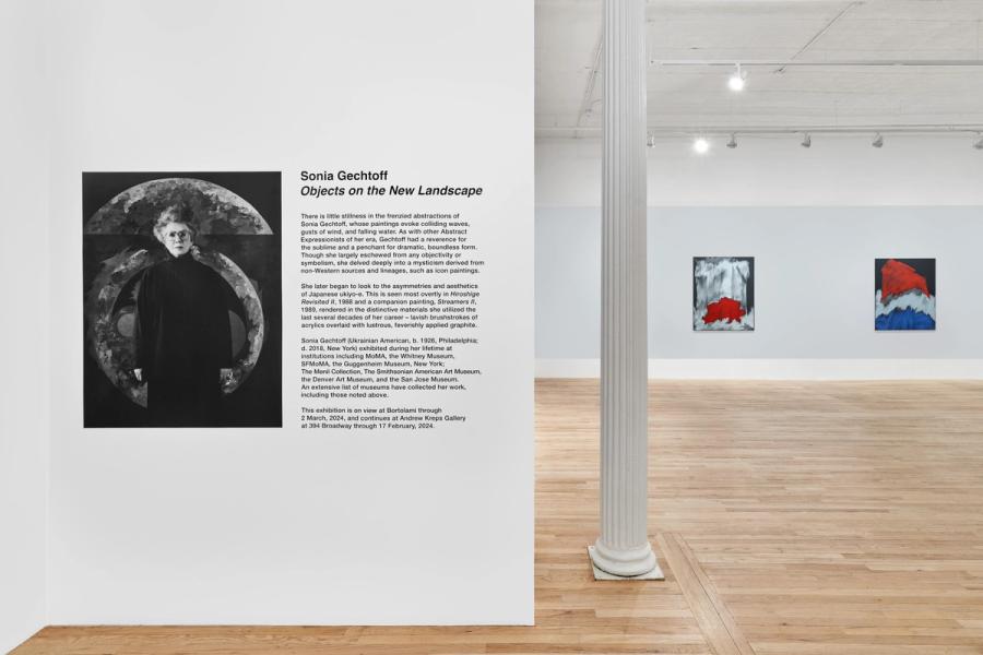 Featured Image (Installation View) of exhibtion: Objects on the New Landscape