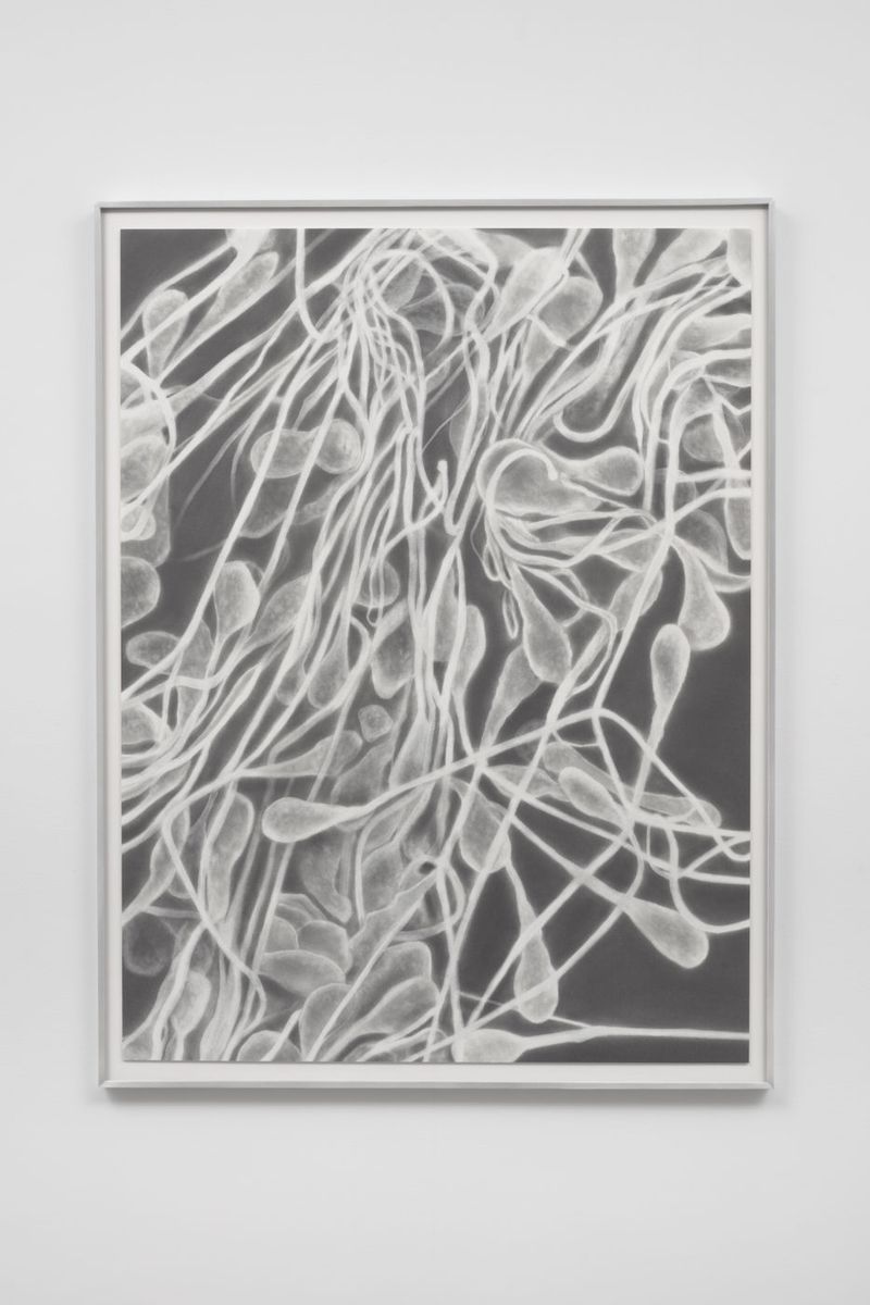 Installation view of displayed artwork titled Untitled (Spermatozoa)