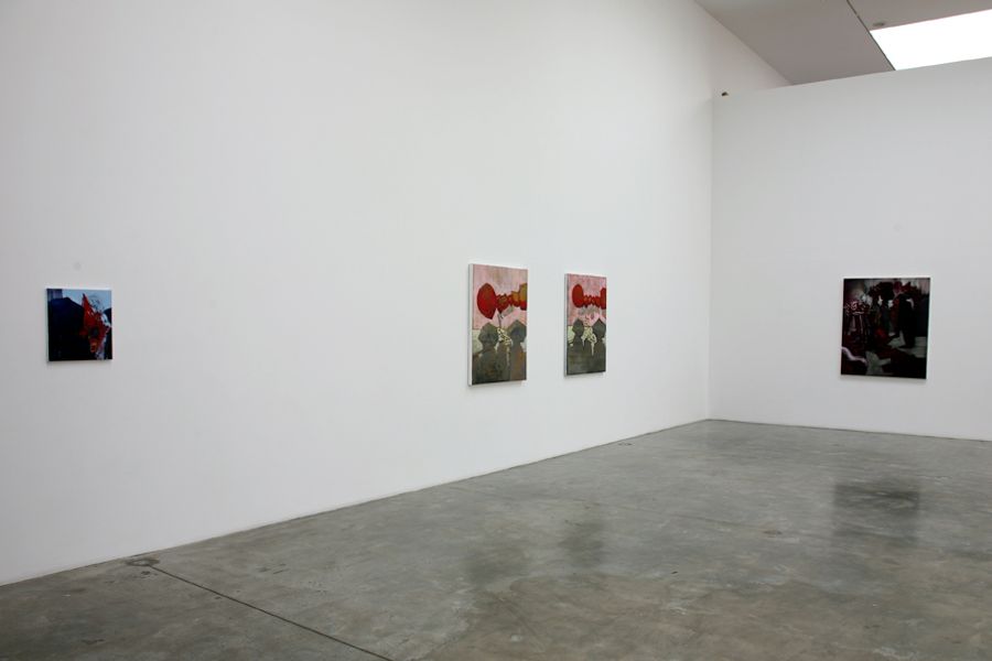 Featured Image (Installation View) of exhibtion: Shane Campbell