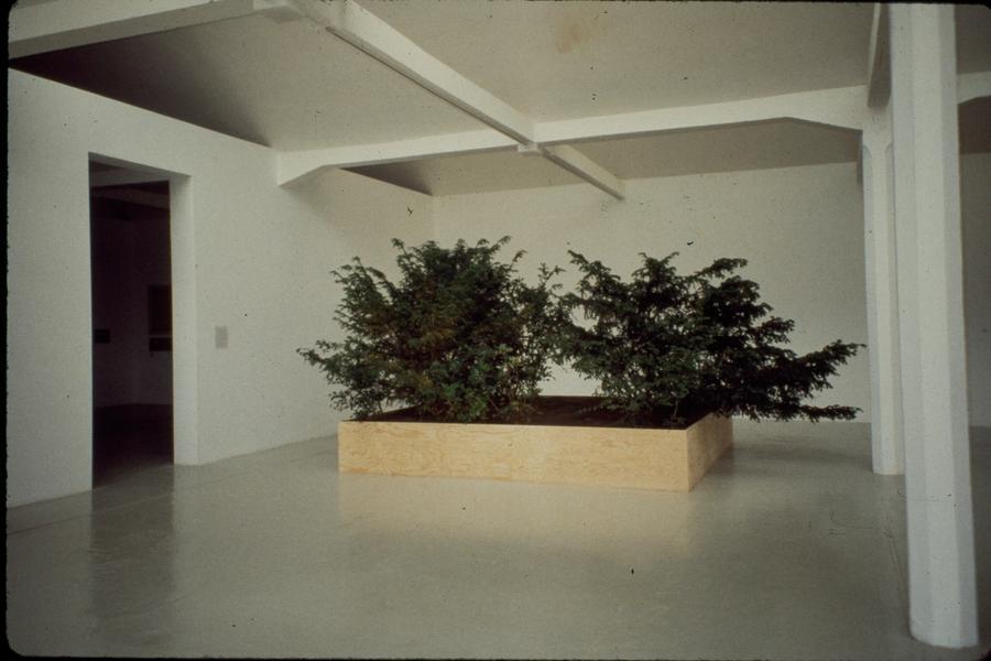 Featured Image (Installation View) of exhibtion: Circa ’77