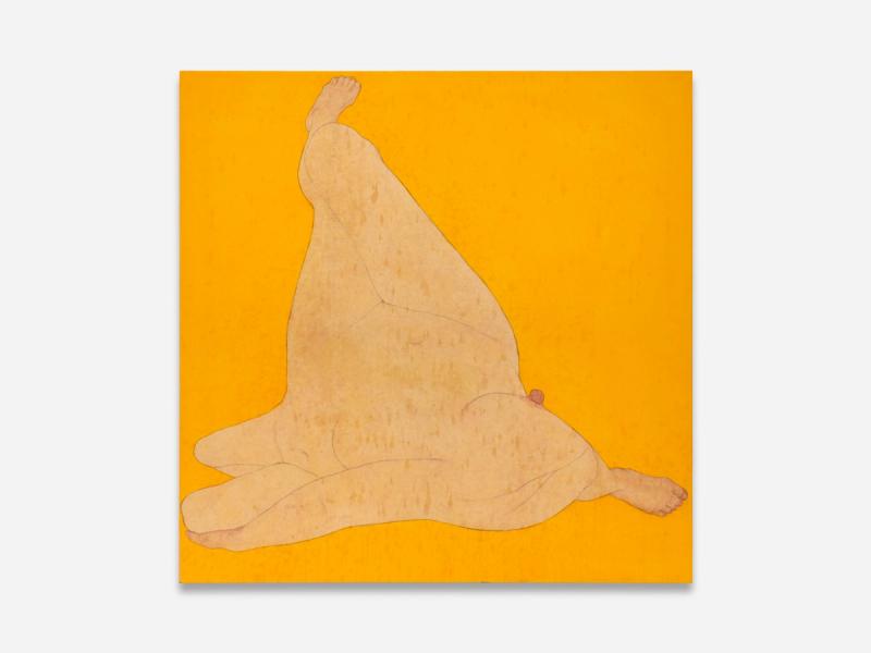 Installation view of displayed artwork titled Self Configuration: Indian Yellow 1