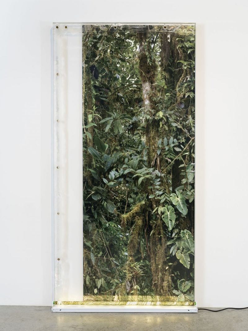 Installation view of displayed artwork titled Untitled (Welcome to the Jungle)