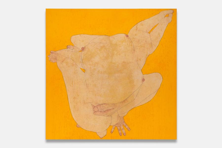 Featured Image (Installation View) of exhibtion: Suspended Landscapes