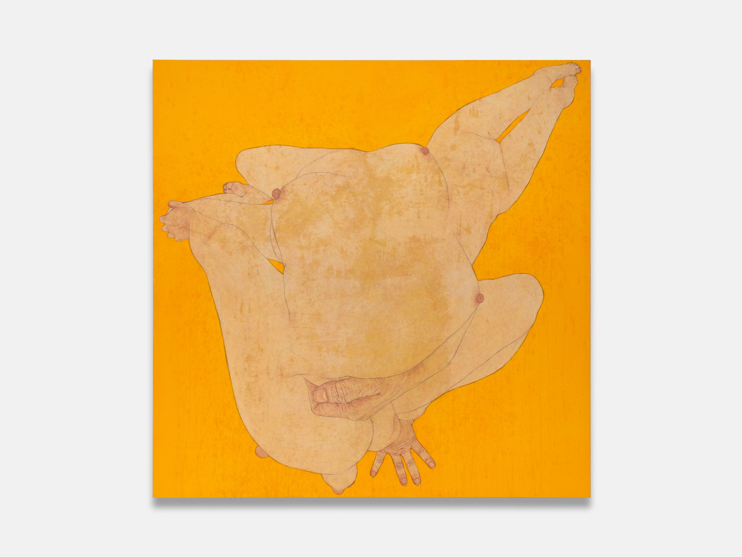 Installation view of Suspended Landscapes