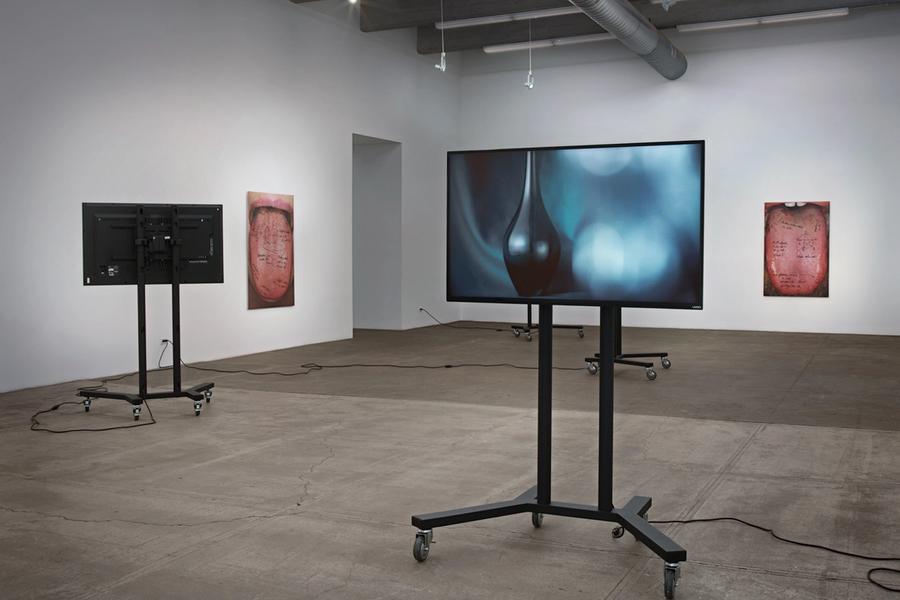 Featured Image (Installation View) of exhibtion: Chatbots, Tongues, Denial & Various Other Abstractions