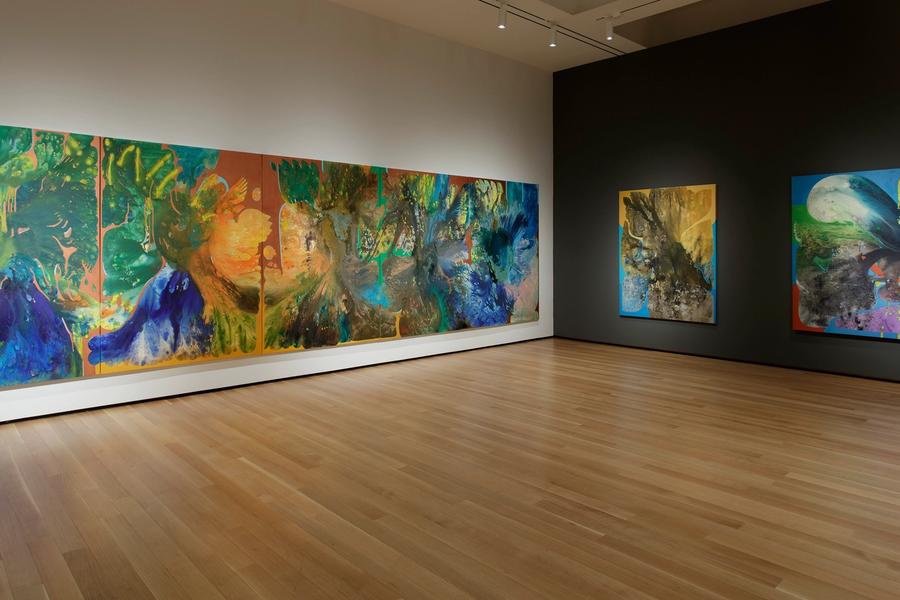 Featured Image (Installation View) of exhibtion: Vian Sora: Outerworlds