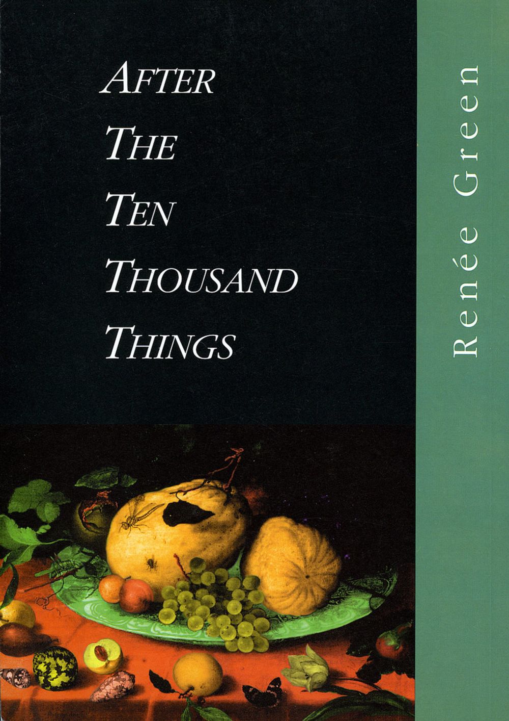 Book cover on plain gray background with title of After the Ten Thousand Things