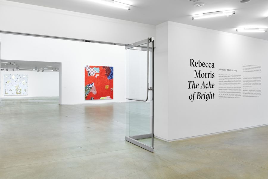 Featured Image (Installation View) of exhibtion: Rebecca Morris: The Ache of Bright