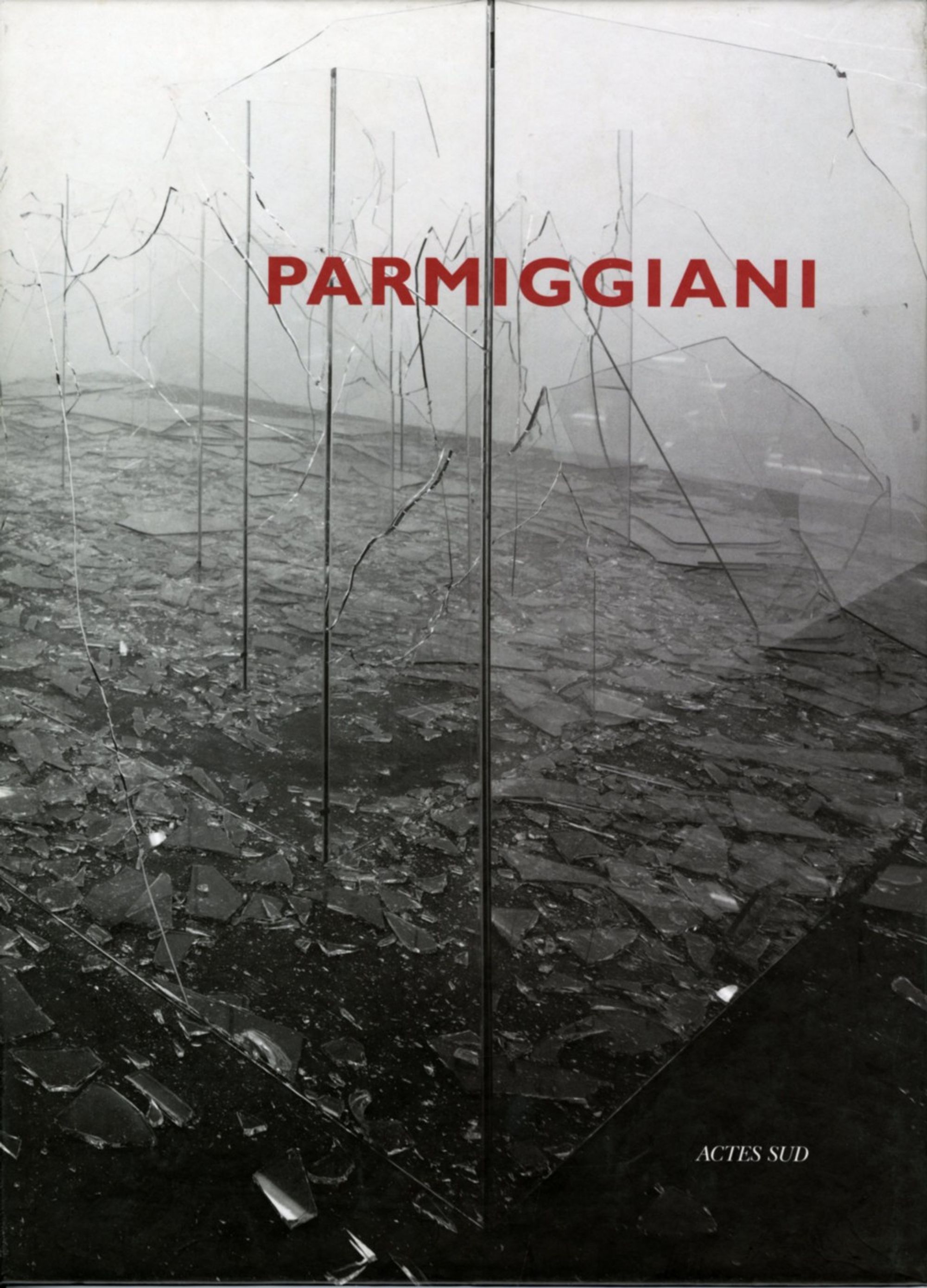 Detail view of Claudio Parmiggiani against a plain gray background