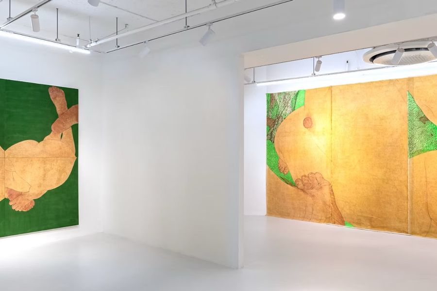 Featured Image (Installation View) of exhibtion: The Gaia Selfies