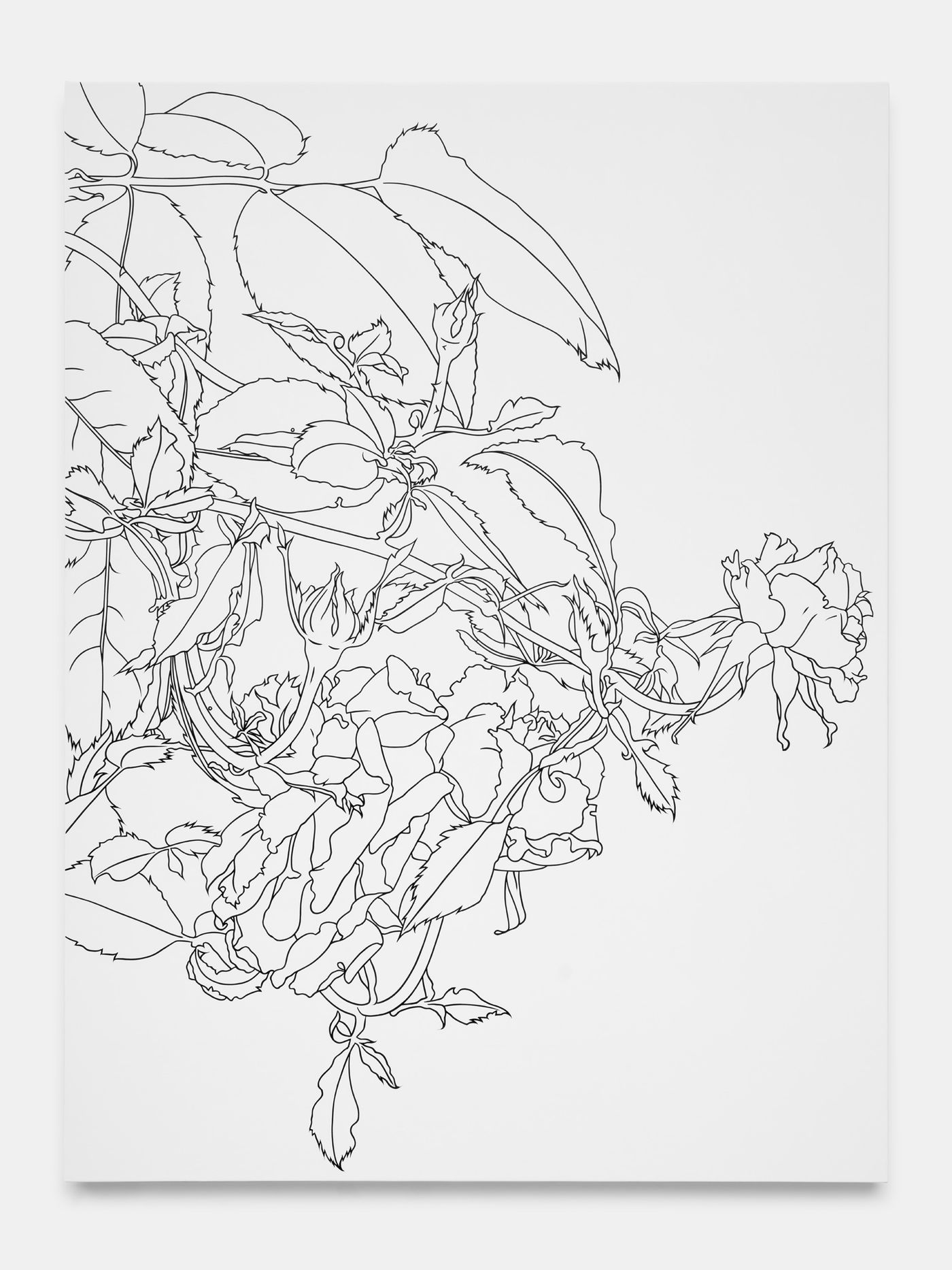 Featured Image (Installation View) of exhibtion: Drawings and Paintings
