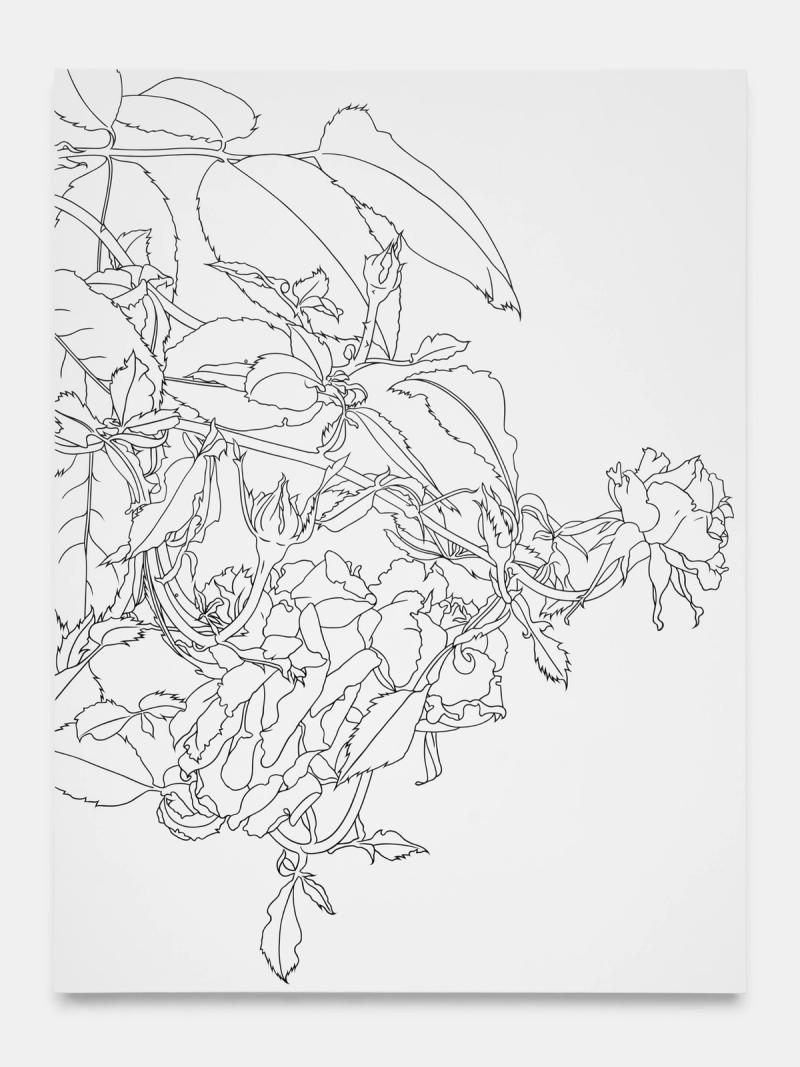Featured Image (Installation View) of exhibtion: Drawings and Paintings