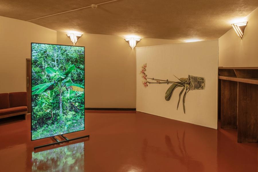 Featured Image (Installation View) of exhibtion: The Histories (Le Mancenillier)