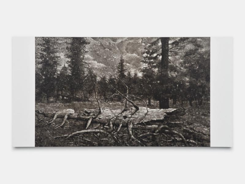 Isolated detail view of Artworks, index 6