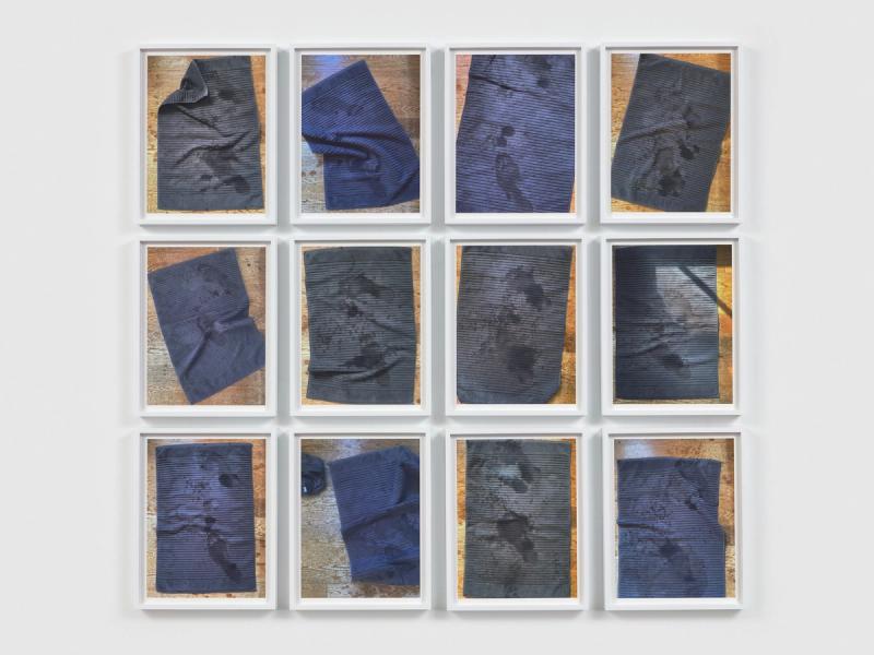 Presented view of Twelve Grays against a plain background