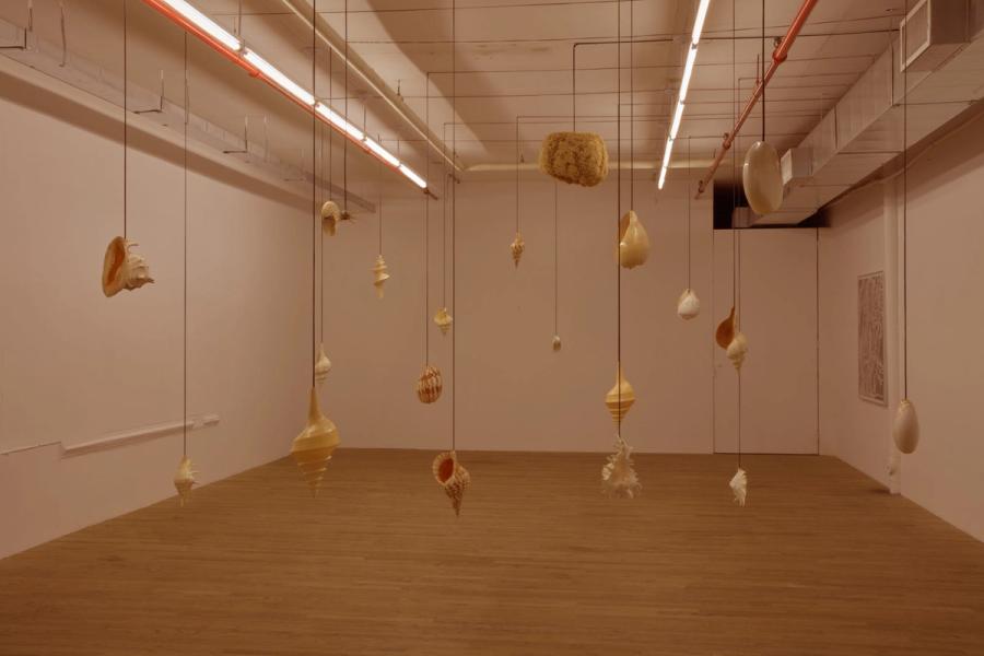Featured Image (Installation View) of exhibtion: Naufragios