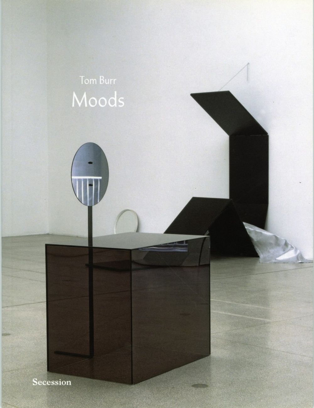 Book cover on plain gray background with title of Tom Burr: Moods