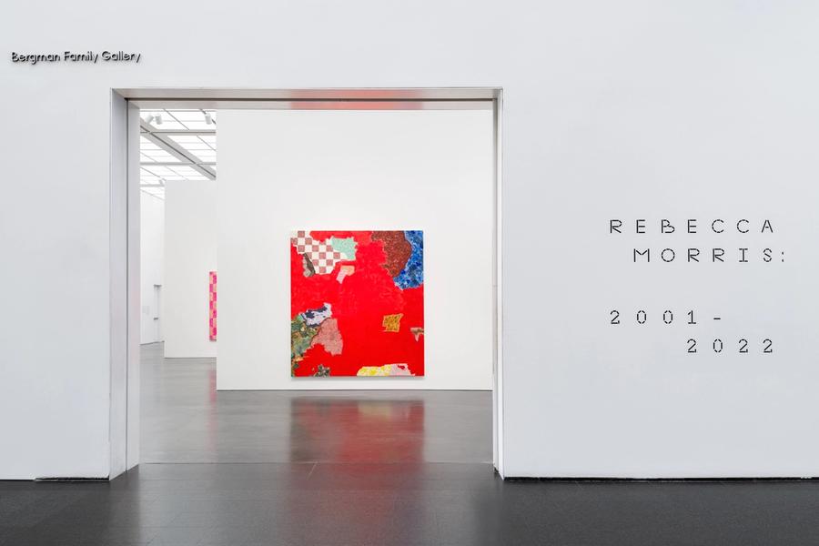 Featured Image (Installation View) of exhibtion: Rebecca Morris: 2001 - 2022