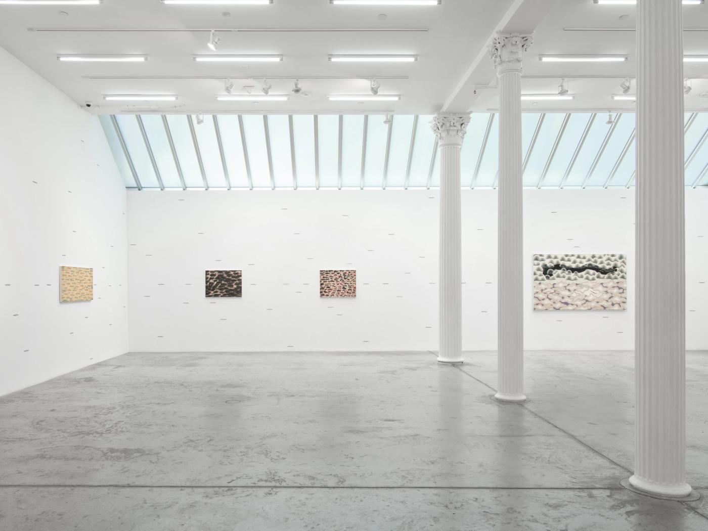Featured Image (Installation View) of exhibtion: When sky merges with Earth