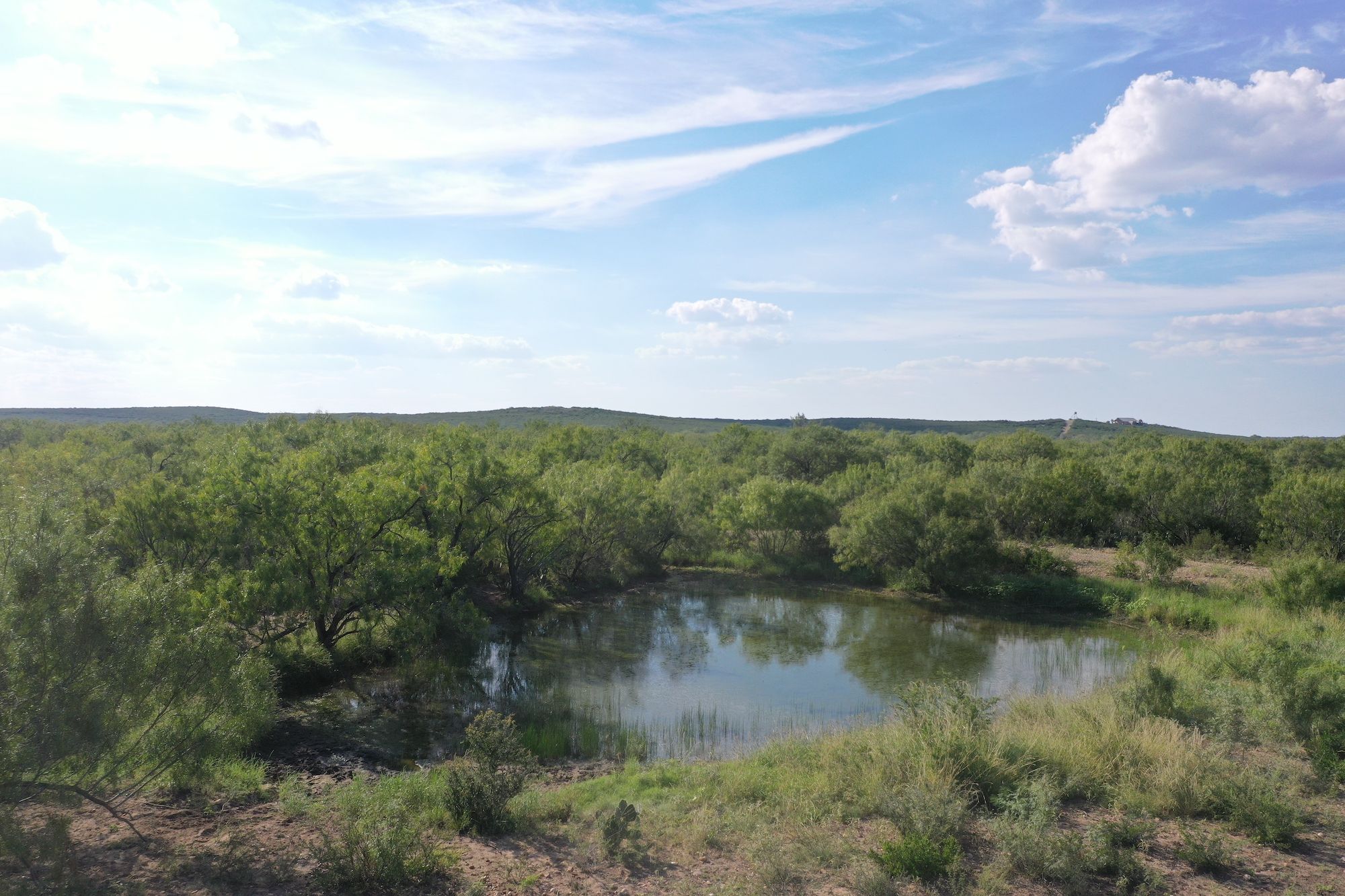 Frio Elm Creek Ranch For Sale in Frio County. | Simpson Ranches & Land