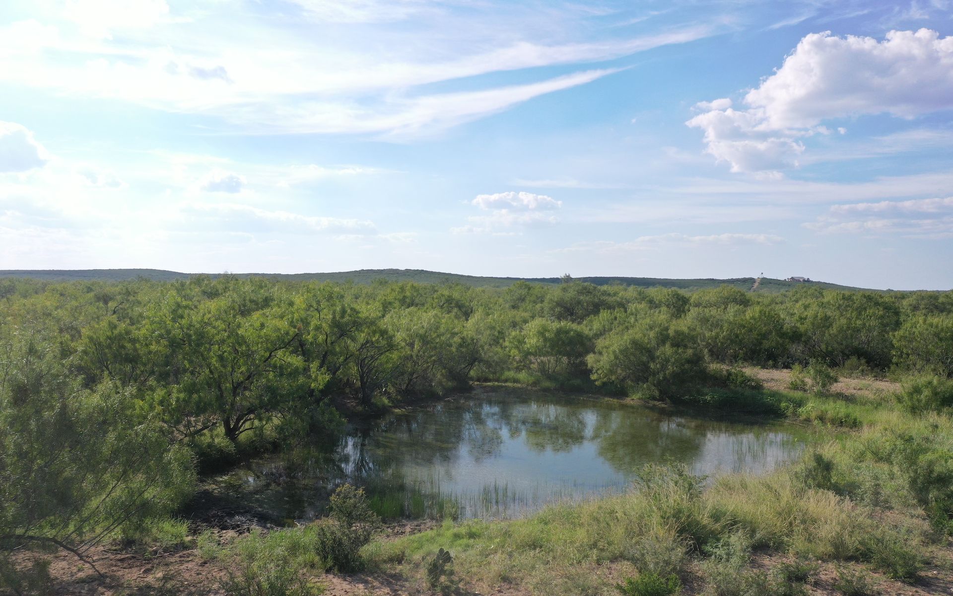 Frio Elm Creek Ranch For Sale in Frio County. | Simpson Ranches & Land