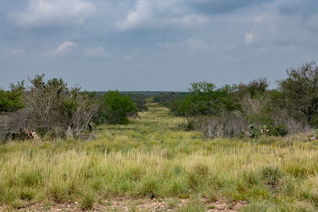Riata Ranch for Sale in La Salle County | Simpson Ranches & Land
