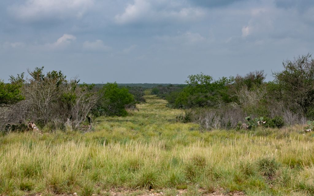 Riata Ranch for Sale in La Salle County | Simpson Ranches & Land