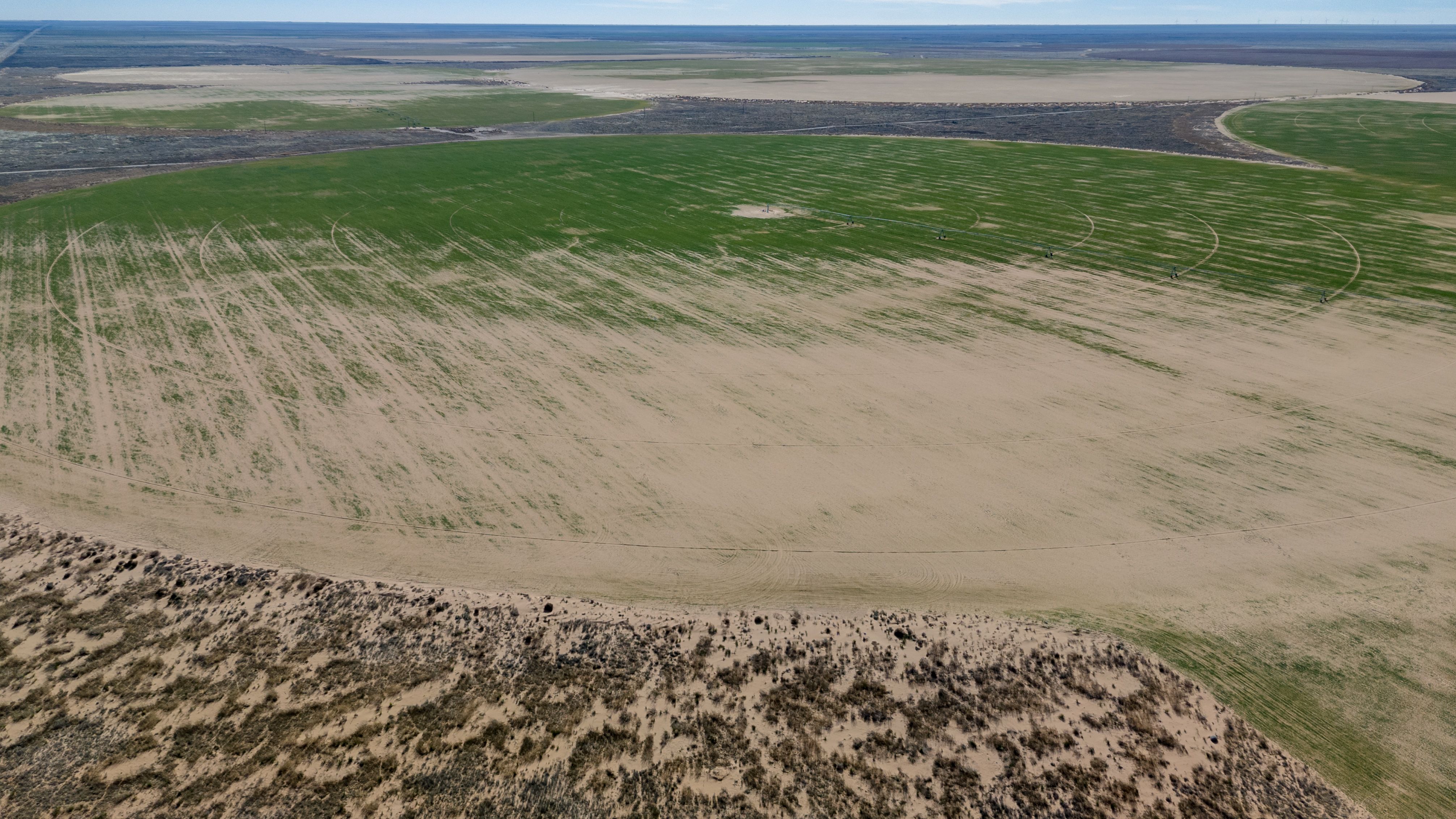 Lea County Organic Farm | Simpson Ranches & Land