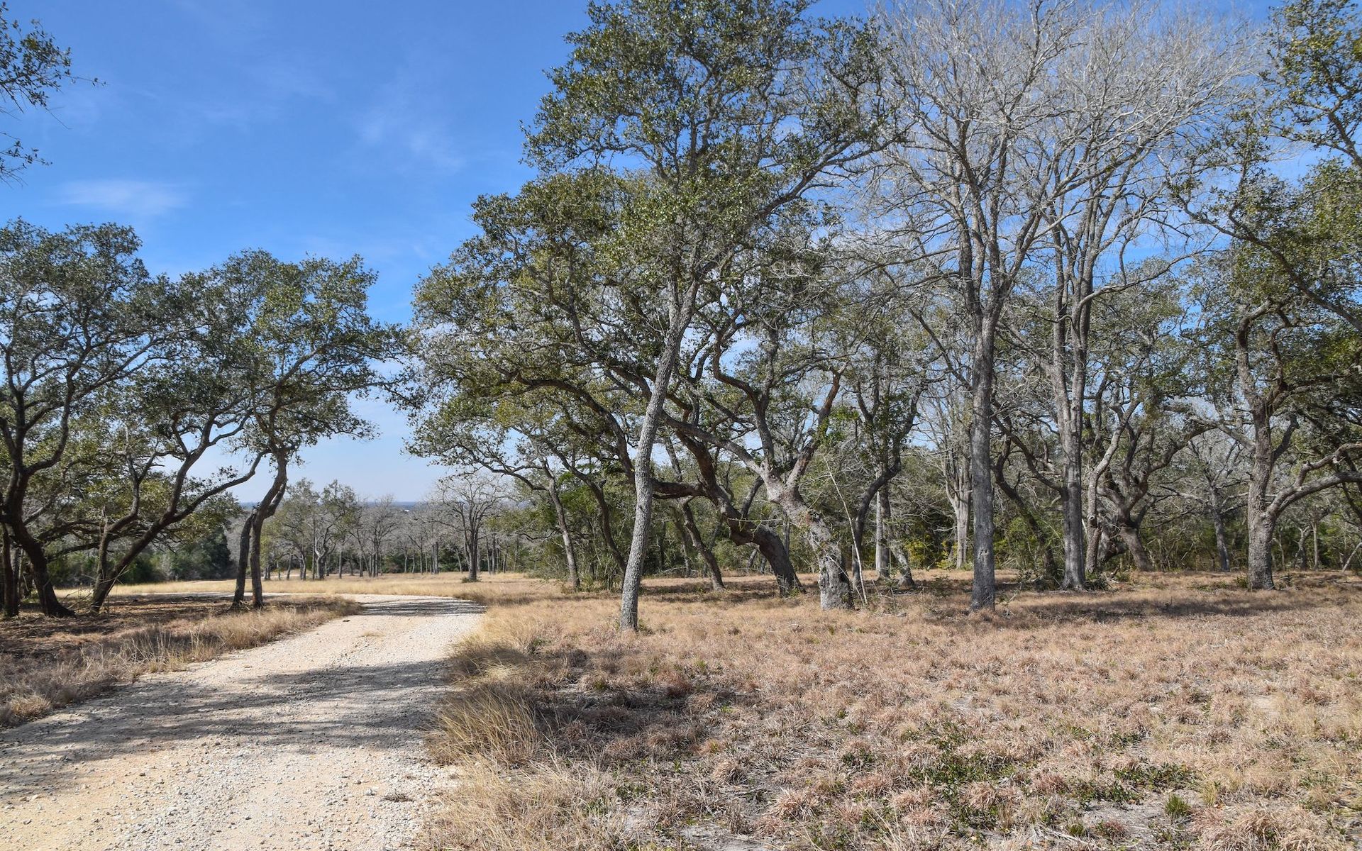Russel Hill Ranch - Gonzales County | Simpson Ranches & Land