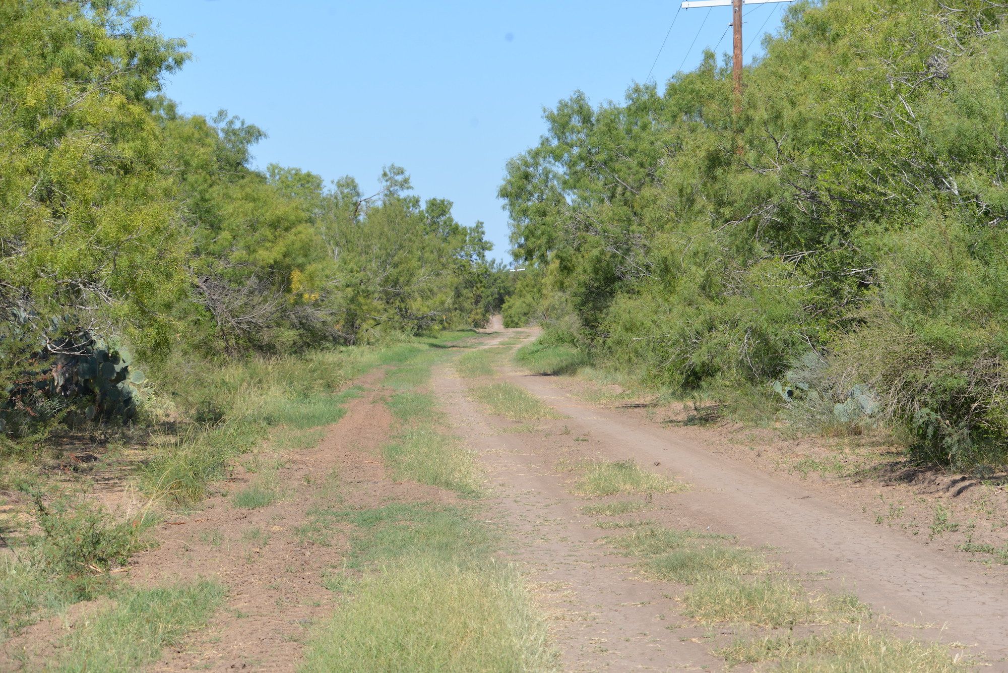 Frio Elm Creek Ranch For Sale in Frio County. | Simpson Ranches & Land