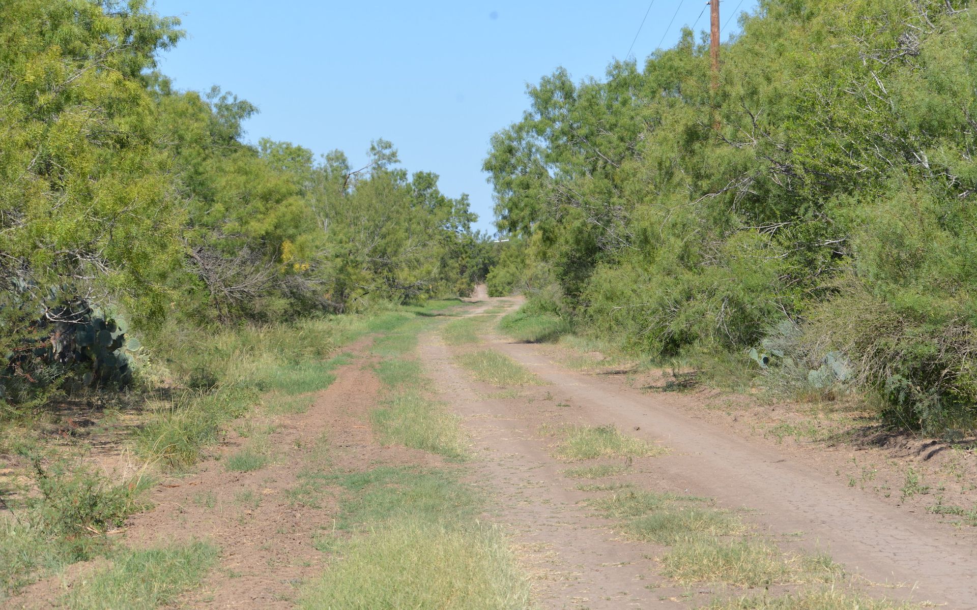 Frio Elm Creek Ranch For Sale in Frio County. | Simpson Ranches & Land