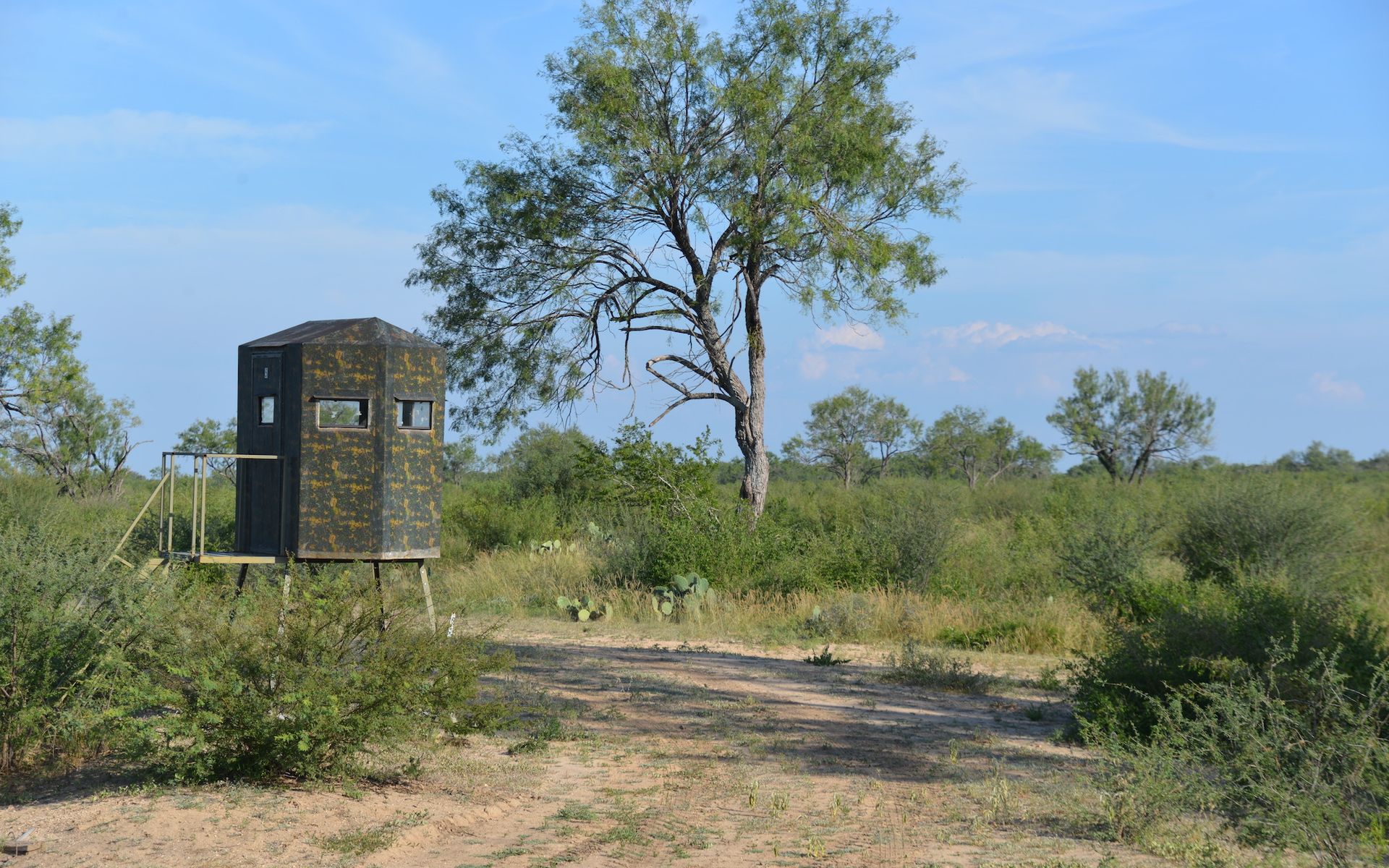 Frio Elm Creek Ranch For Sale in Frio County. | Simpson Ranches & Land