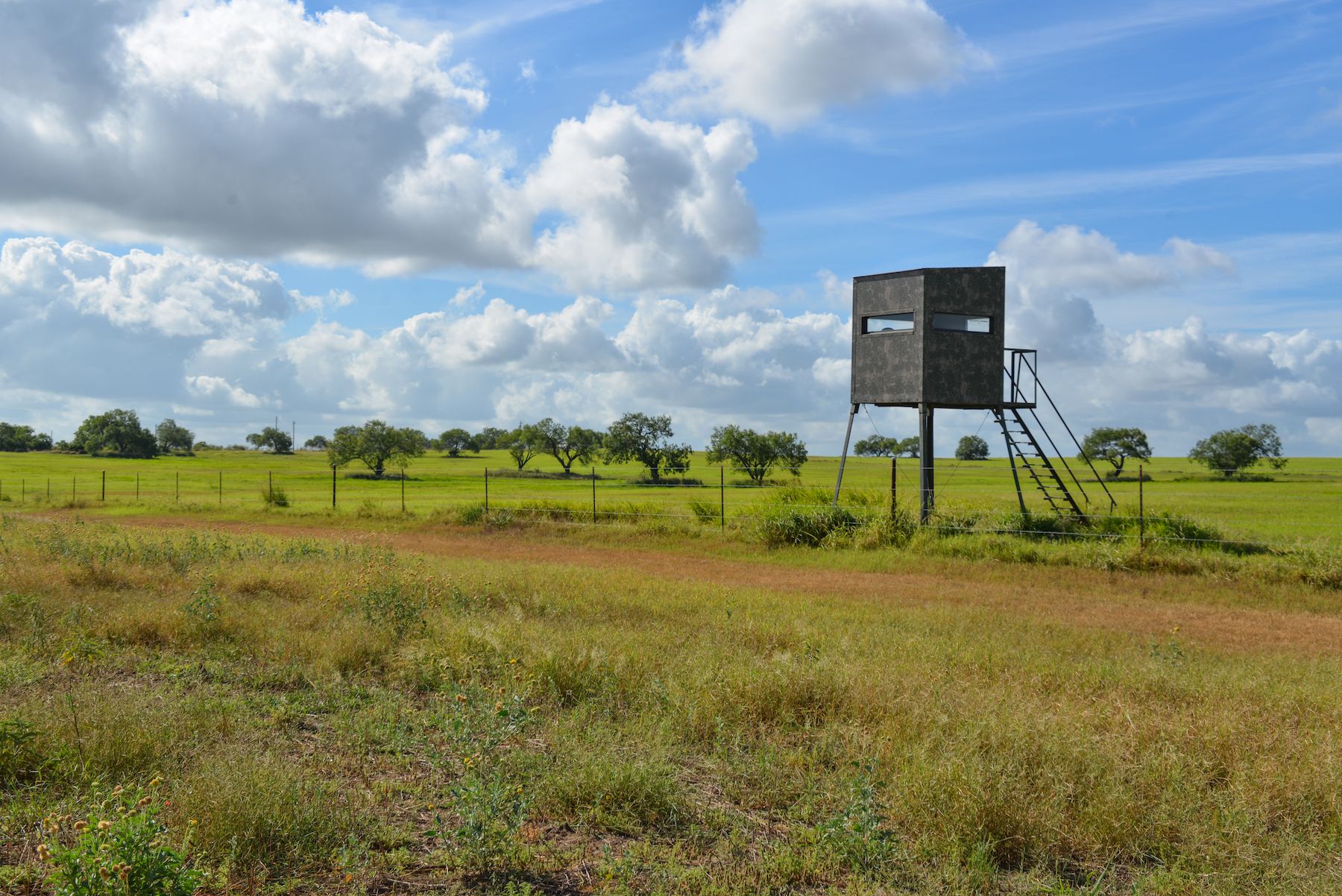 Live Oak County Ranches for Sale Simpson Ranches & Land