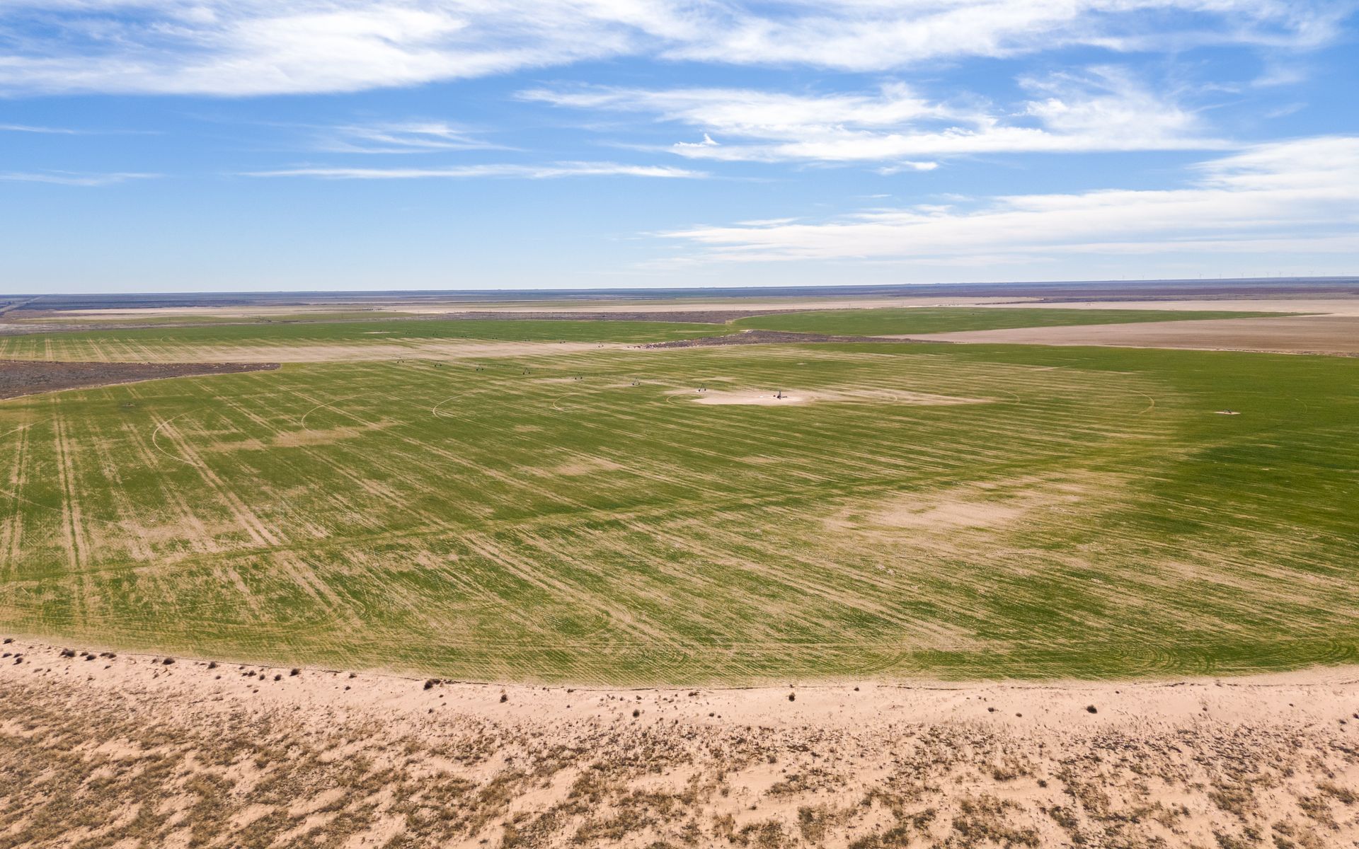 Lea County Organic Farm | Simpson Ranches & Land