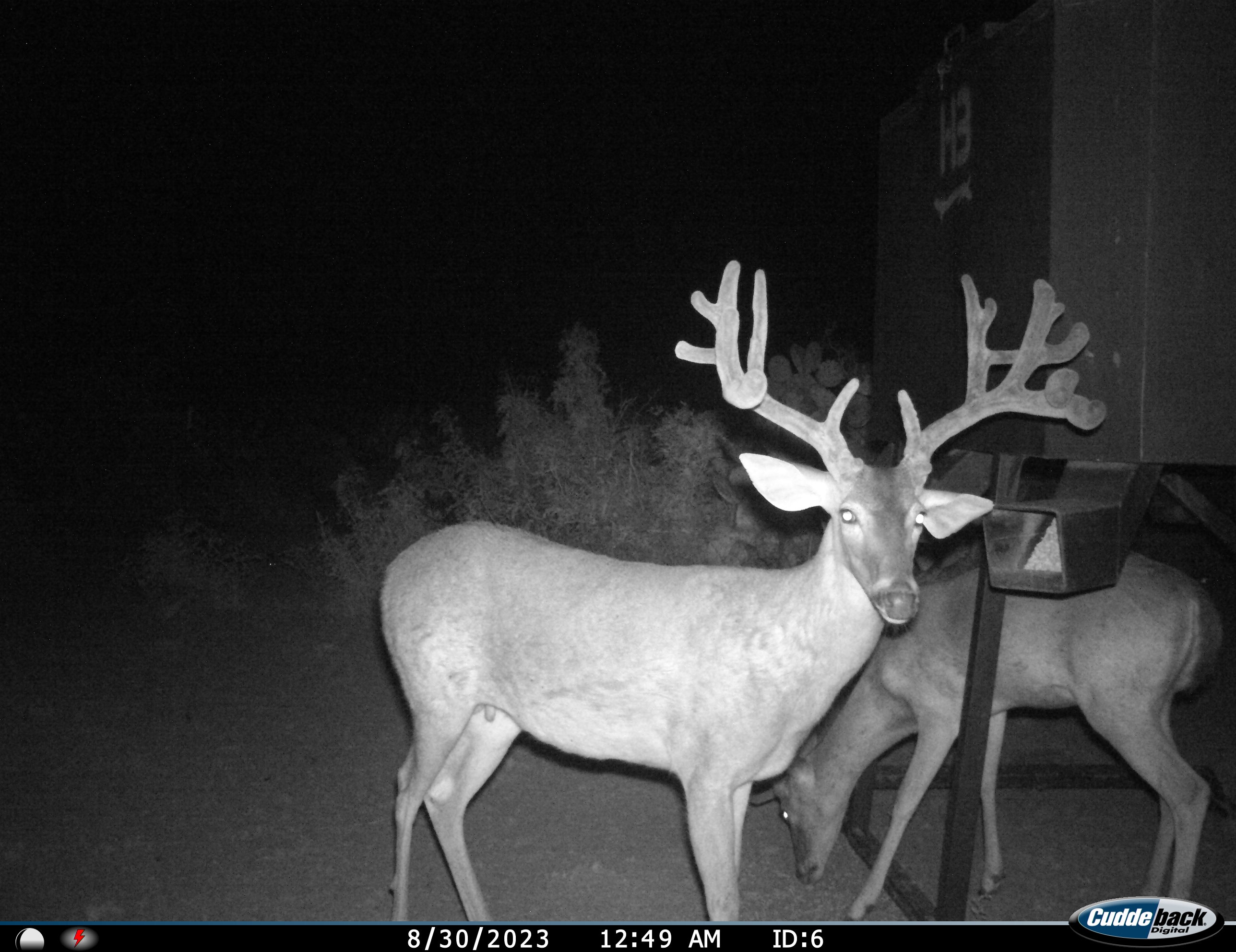 Riata Ranch for Sale in La Salle County | Simpson Ranches & Land