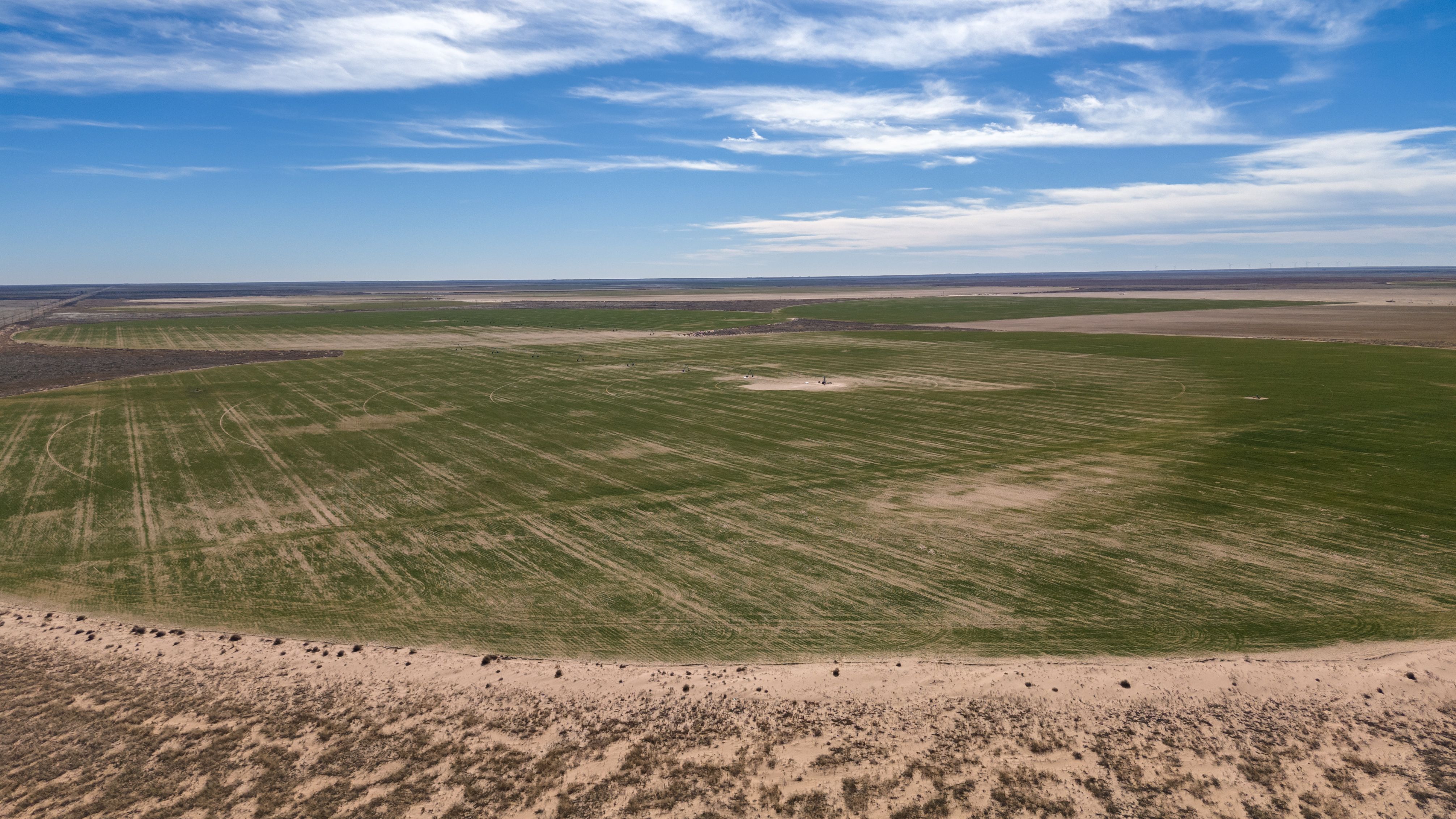 Lea County Organic Farm | Simpson Ranches & Land