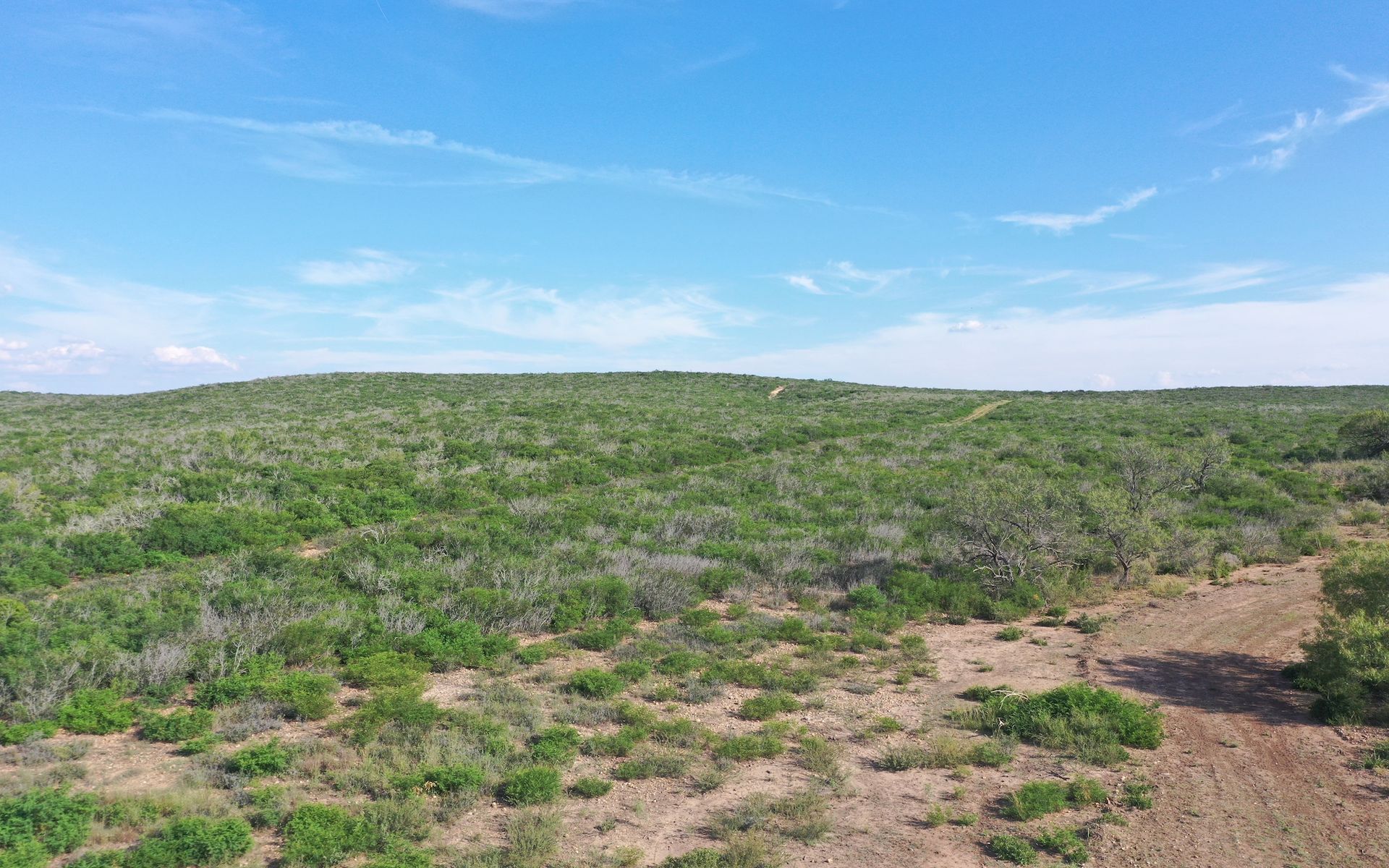 Frio Elm Creek Ranch For Sale in Frio County. | Simpson Ranches & Land