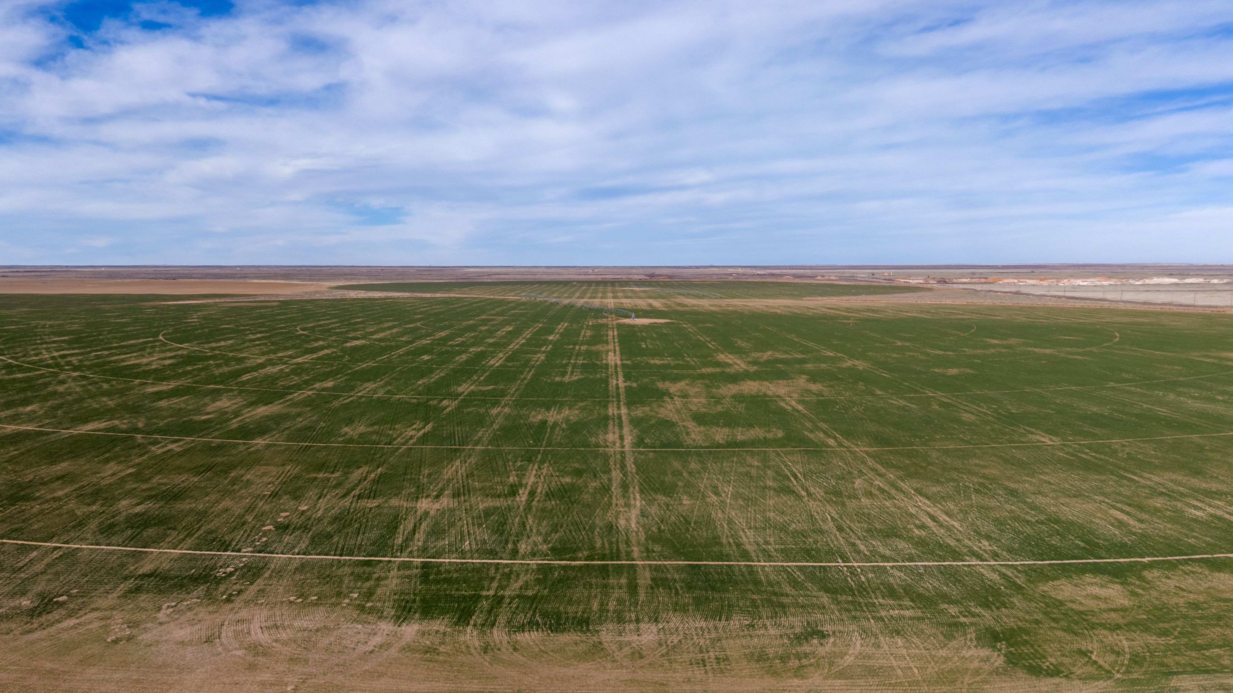 Lea County Organic Farm | Simpson Ranches & Land