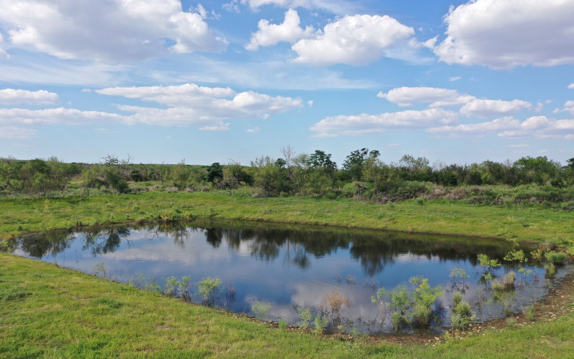 Frio Elm Creek Ranch For Sale in Frio County. | Simpson Ranches & Land