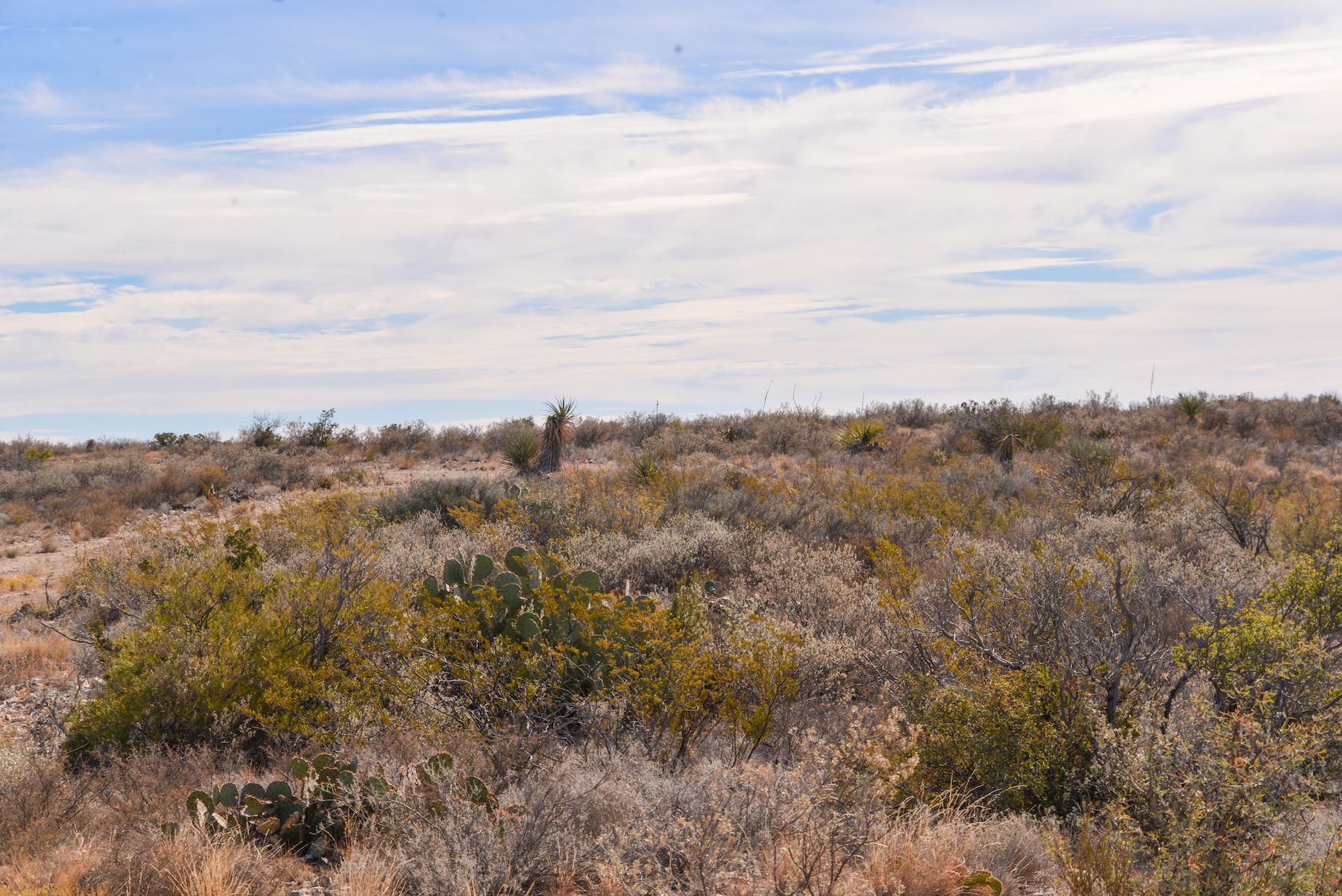 Outlaw Canyon Ranch For Sale | Simpson Ranches & Land