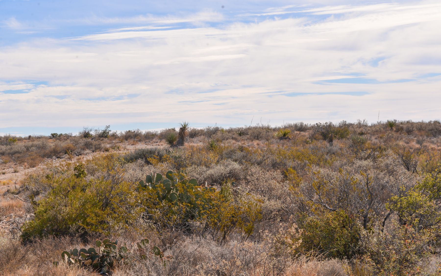 Outlaw Canyon Ranch For Sale | Simpson Ranches & Land