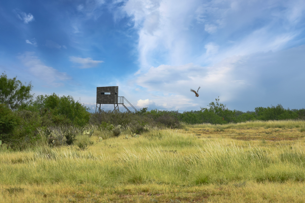 Riata Ranch for Sale in La Salle County | Simpson Ranches & Land
