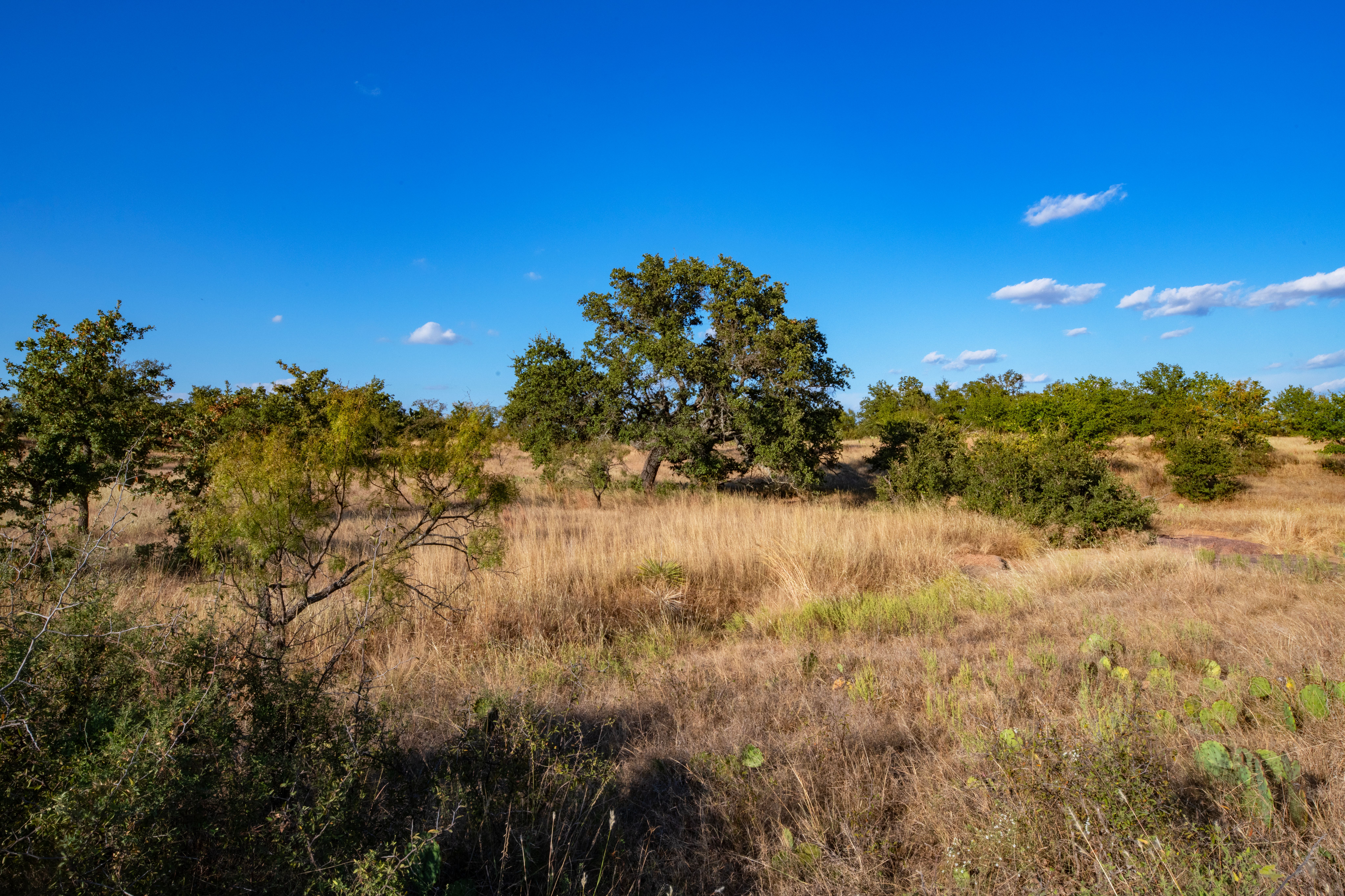 The Cave Ranch for Sale in Mason County, Texas | Simpson Ranches & Land