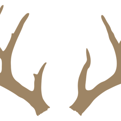 Team Photo Team Photo