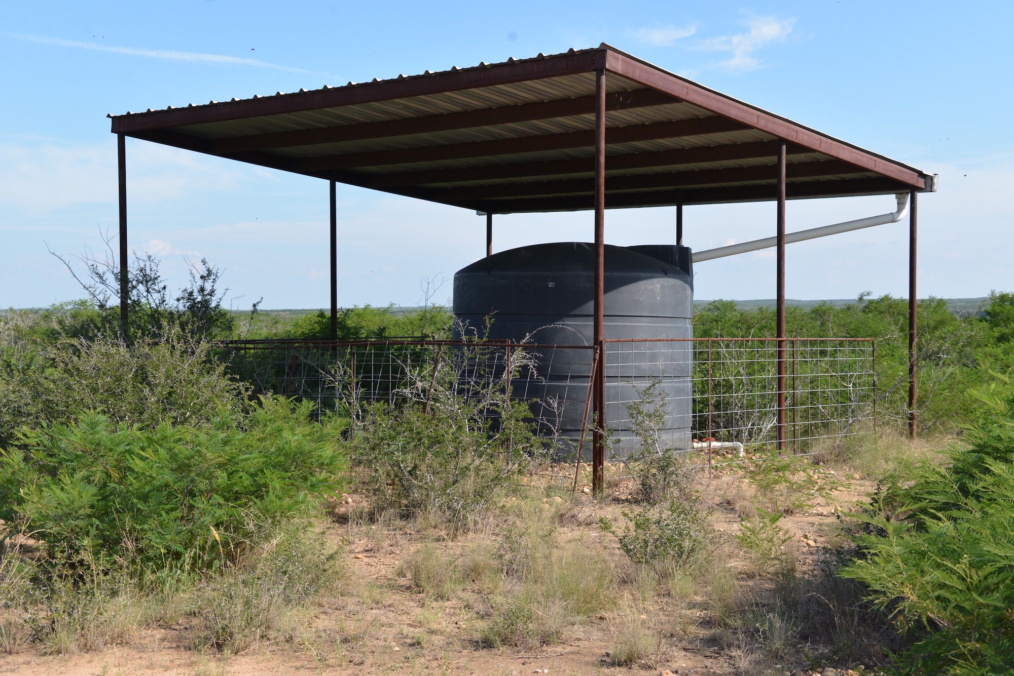 Frio Elm Creek Ranch For Sale in Frio County. | Simpson Ranches & Land