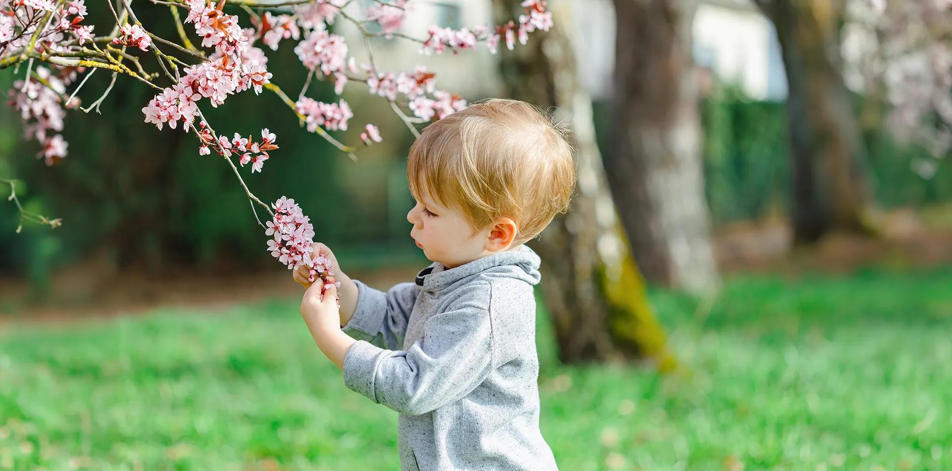 малко дете разглежда цветя през пролетта монтесори занимания навън