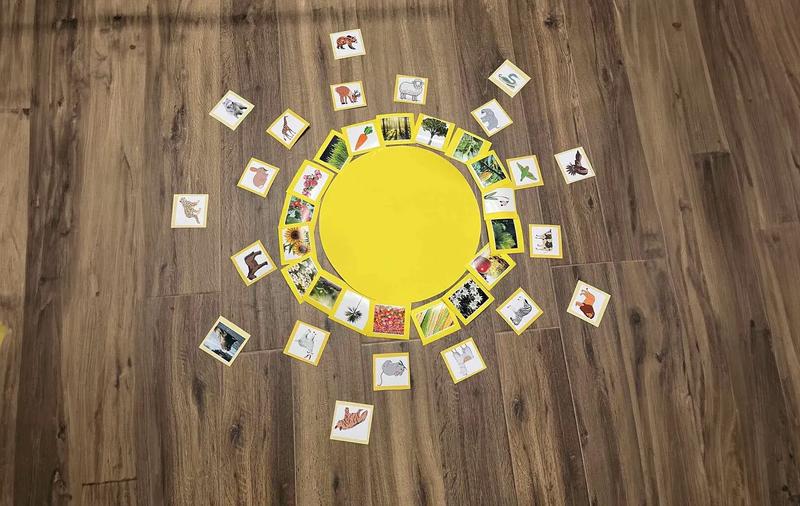 single exercise image