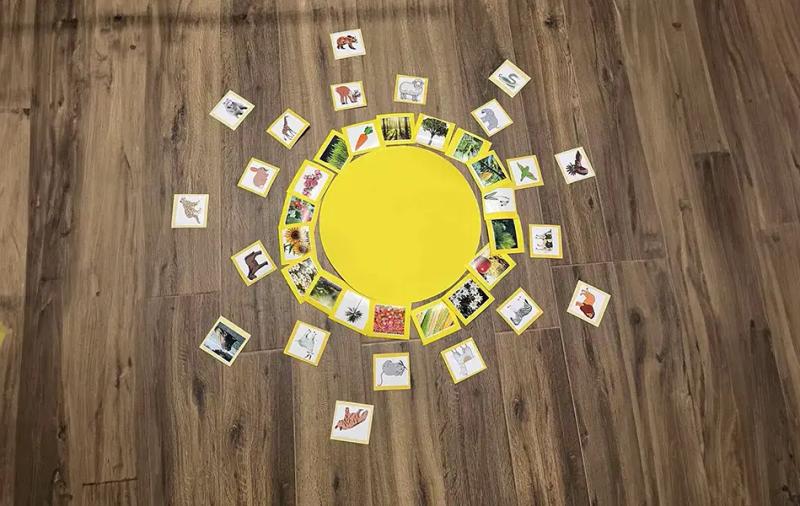 single exercise image